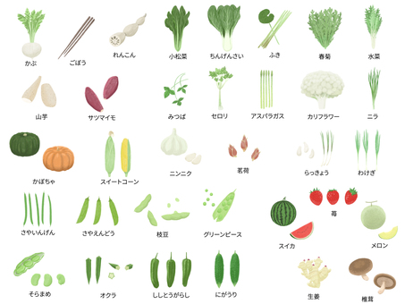 色鉛筆風特定野菜のイラスト2026年以降 特定野菜,蕪,ごぼう,れんこん,山芋,サツマイモ,小松菜,チンゲン菜,ふき,春菊のイラスト素材