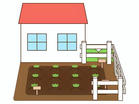 家庭菜園 家庭菜園,畑,庭,育てる,野菜,農作物,家,作物,挿絵,イラストのイラスト素材