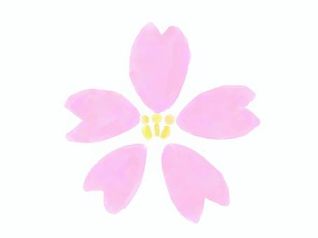 水彩風の桜の花 桜,花,春,植物,ピンク,水彩,手描き,かわいい,和風,季節のイラスト素材