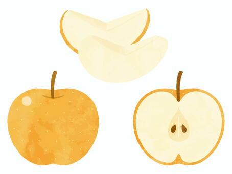 和梨　イラストセット_水彩風 梨,和梨,果物,食べ物,断面,半分,くし切り,くし形,カット,秋のイラスト素材