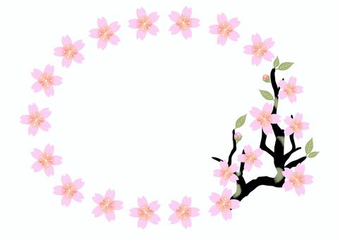 Illustration, cherry blossoms, frame, spring, 