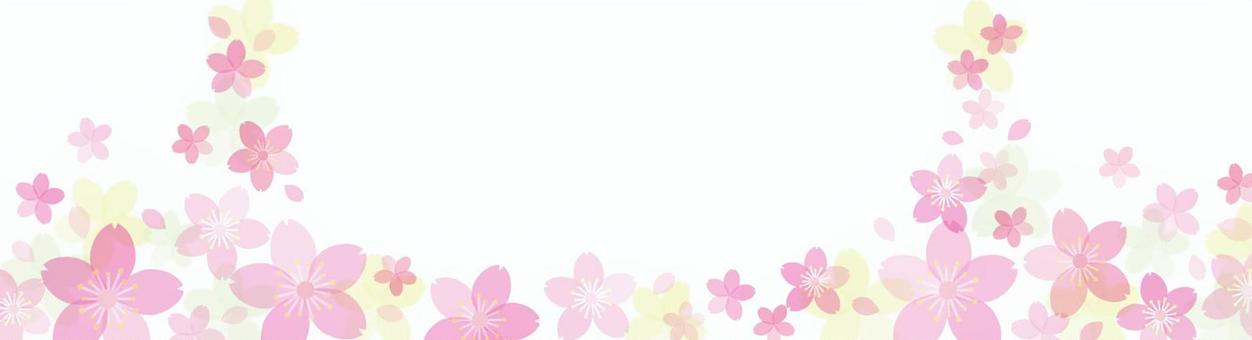 Illustration, cherry blossoms, frame, flower, JPG and AI