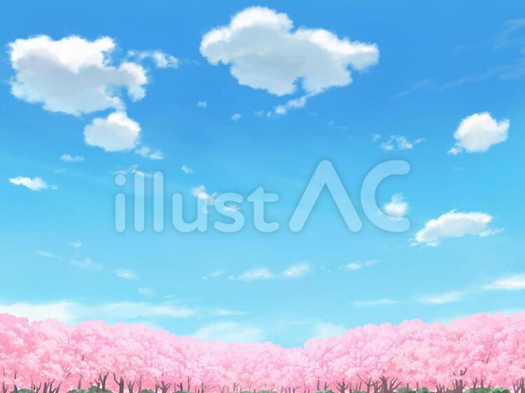 遠景の桜と空 桜,春,花見のイラスト素材