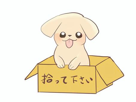 段ボールの子犬 段ボールの子犬 子犬,動物,犬,かわいい,段ボールのイラスト素材