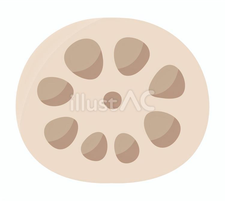 蓮根 蓮根,レンコン,れんこんのイラスト素材