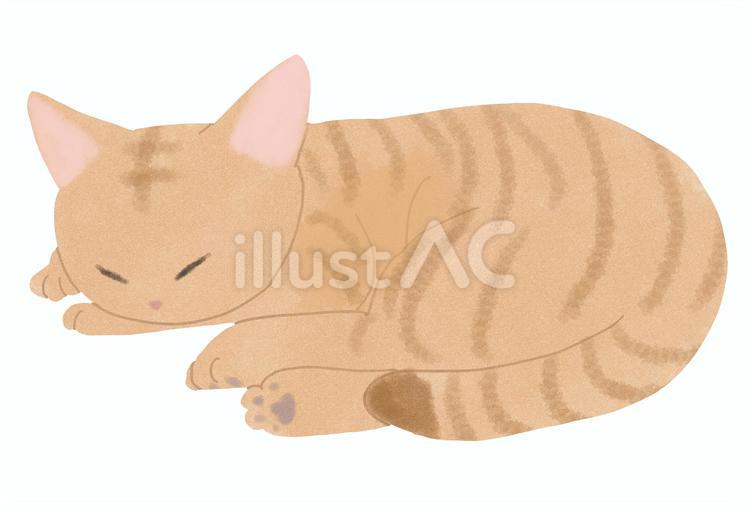 寝ているトラ柄の猫 猫,トラ柄,寝姿のイラスト素材
