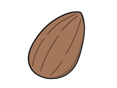 Simple almond illustration, JPG and PNG Simple almond illustration, food, tree fruit, almond, JPG and PNG