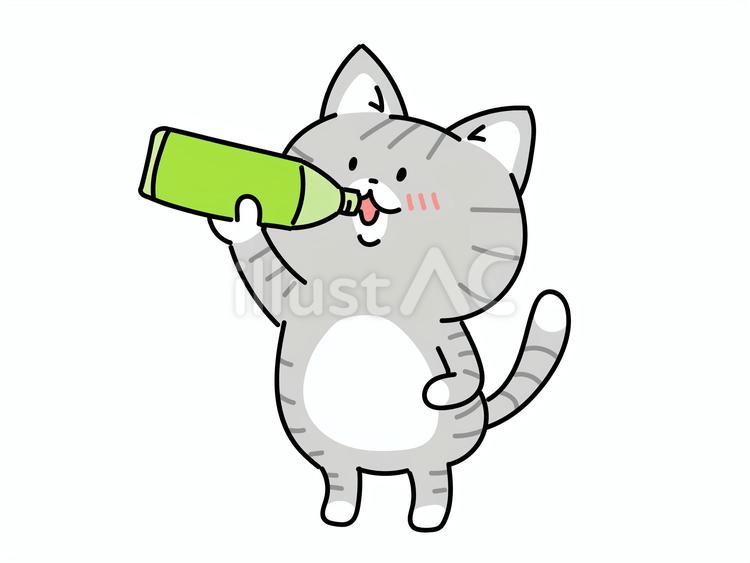 熱中症対策！水分補給をする猫ちゃん ねこ,水分,水分補給のイラスト素材