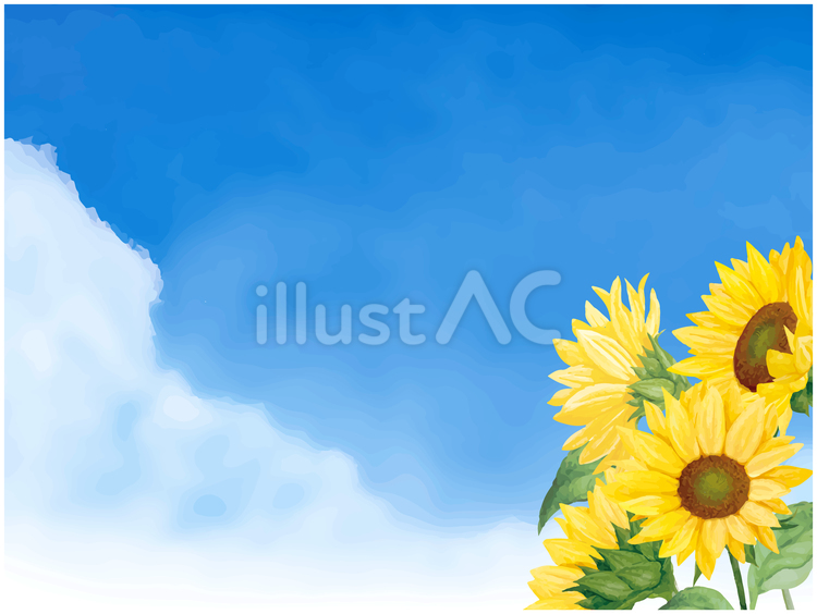 ひまわりと夏の空の背景素材 ひまわり,ひまわり畑,空のイラスト素材