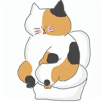 トイレに座る三毛猫ちゃん♪ トイレに座る三毛猫ちゃん♪ かわいい,トイレ,ねこ,三毛猫,どうぶつ,いきもの,ペット,座る,生活,生活習慣のイラスト素材