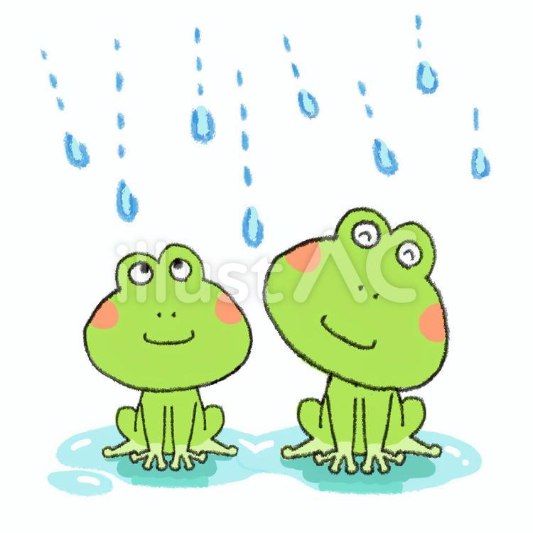 カエル　梅雨 カエル,梅雨,雨降りのイラスト素材