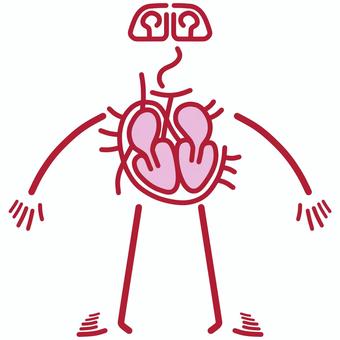 血管 血管,心臓,脳,血液,血,血流,脈拍,脈,血圧,ハートのイラスト素材