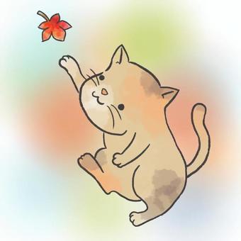 Illustration, cat, autumn leaves, animal, JPG and PNG