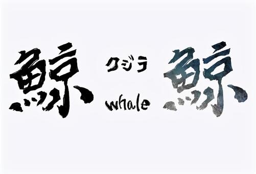鯨（クジラ）の筆文字 鯨,クジラ,筆文字,毛筆,書道,漢字,文字,手書き,和風,動物のイラスト素材