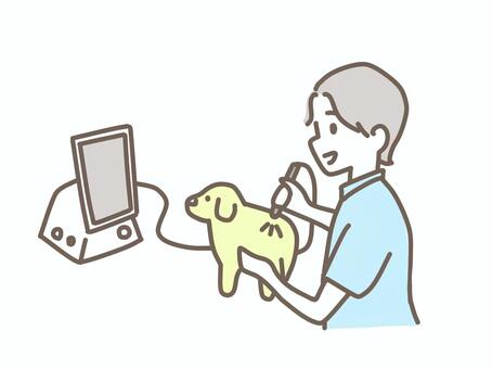 レーザー治療を受ける犬 動物,ペット,犬,猫,獣医,獣医師,治療,動物病院,レーザー,椎間板ヘルニアのイラスト素材