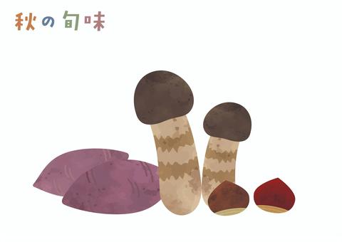 秋の旬味　薩摩芋まつたけ栗 秋の味覚,食材,10月,11月,12月,旬,水彩風,薩摩芋,芋,さつまいものイラスト素材