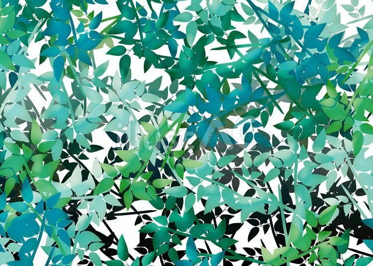 森　樹木　 森,樹木,葉のイラスト素材
