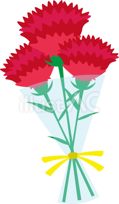カーネーション 花束