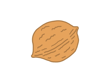 くるみ くるみ,木の実,ナッツ,食べ物,殻,1個,自然,茶色,実,食材のイラスト素材