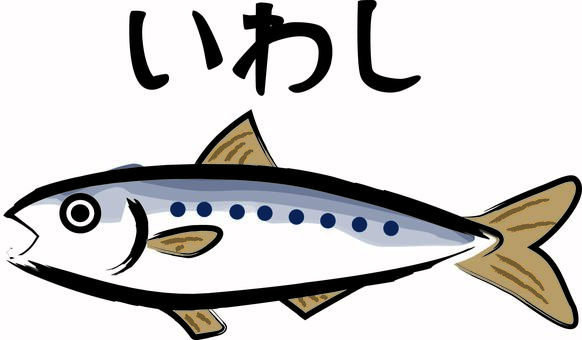 鰯　  鰯,青魚,魚屋,食材,栄養,筆,手描き,ひらがなのイラスト素材