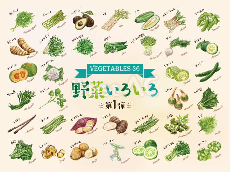 野菜　セット　30種　 手描き,手書き,ベジタブルのイラスト素材