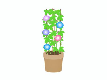 朝顔の鉢 朝顔の鉢 アサガオ,花,植物,風物詩,夏,プランター,葉っぱ,育てる,植える,アイコンのイラスト素材