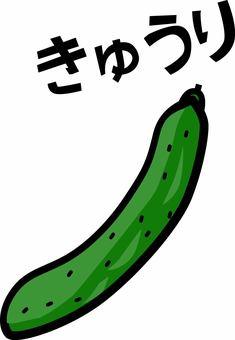 きゅうり　 きゅうり,野菜,食材,栄養,デフォルメ,ひらがな,シンプルのイラスト素材