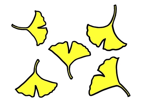 いちょうの葉　手描きイラスト