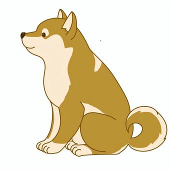 かわいい柴犬のシンプルなイラストお座り 犬,ペット,柴犬,手描き,横向,嬉しい,かわいい,アクション,アニマル,挿絵のイラスト素材
