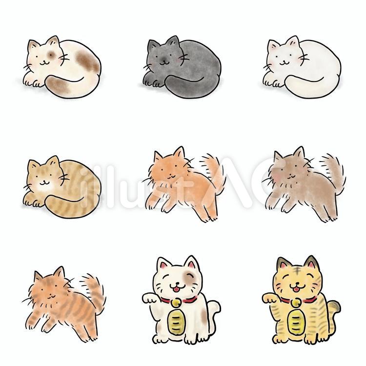 ねこセット 猫,ねこ,ネコのイラスト素材