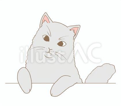 ねこ2
