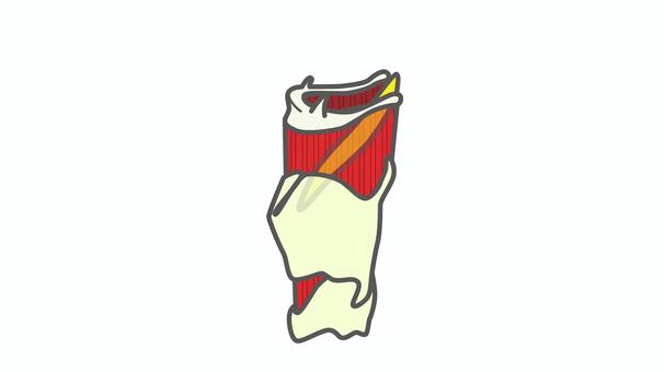 舌骨_文字なし 舌骨,のど,解剖,甲状軟骨,甲状舌骨筋,輪状軟骨,喉頭蓋,嚥下のイラスト素材