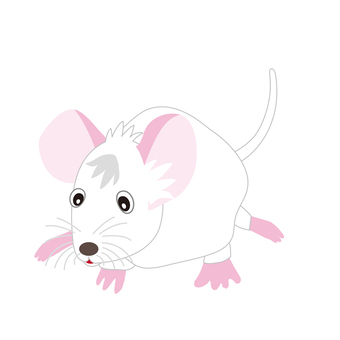 ネズミのイラスト 可愛い白ネズミ