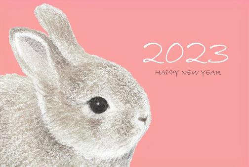 Next to the New Year's card of the 2023 rabbit up, , JPG