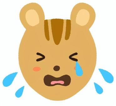 えーんと涙を流しているリスの顔 リス,シマリス,泣く,動物,アイコン,顔,正面,表情,涙,悲しいのイラスト素材