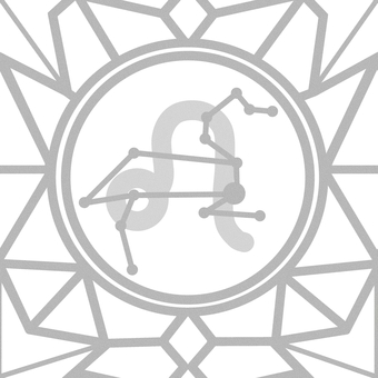 シームレスなモザイク　獅子座の線画　ｐ しし座,獅子座,星座,星,占い,運勢,ホロスコープ,占星術,12星座,宇宙のイラスト素材