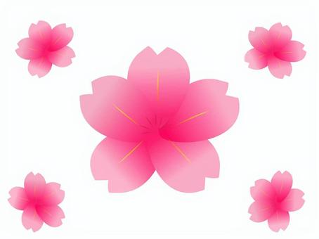 桜　グラフィック素材　セット 桜,花びら,グラフィック,グラデーション,切り抜き,セット,かわいい,おしゃれ,挿絵,花のイラスト素材
