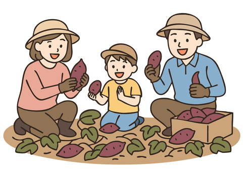 芋ほり体験を楽しむ家族 人物,イラスト,アジア人,中国人,ベクター,日本人,白バック,芋ほり,農業体験,親子のイラスト素材