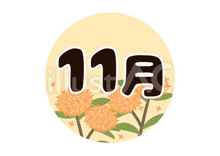 キンモクセイと「11月」の文字 11月,文字,キンモクセイのイラスト素材