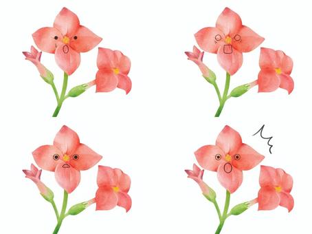 Illustration, каланхоэ, цветок, характер, 