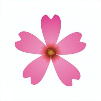 Illustration, shibazakura, moss phlox, hanatsumekusa, 