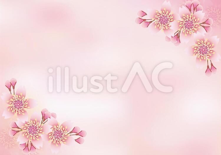 桜花爛漫49 花,桜,春のイラスト素材