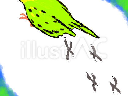 セキセイインコと足跡
