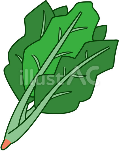 美味しいほうれん草のイラスト