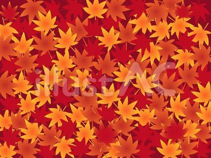 紅葉の落ち葉