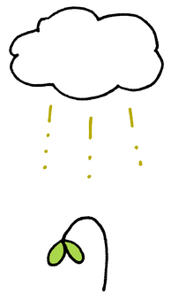 酸性雨 酸性雨,雨,植物,芽,二葉,酸,雲,災害,被害,枯れるのイラスト素材