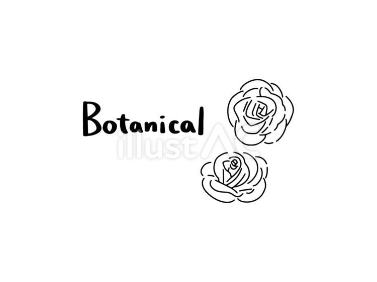 【単品】モノクロ　ボタニカルの文字と薔薇 花,植物,薔薇のイラスト素材