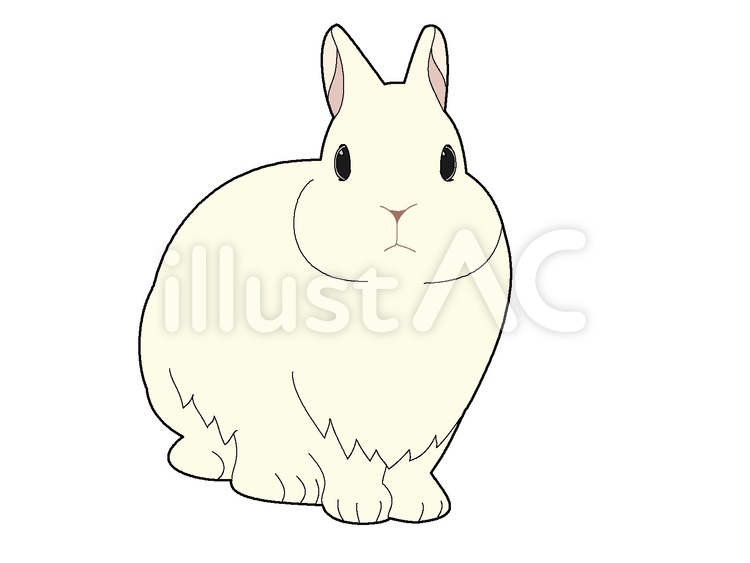 白うさぎ３ うさぎ,動物,ペットのイラスト素材