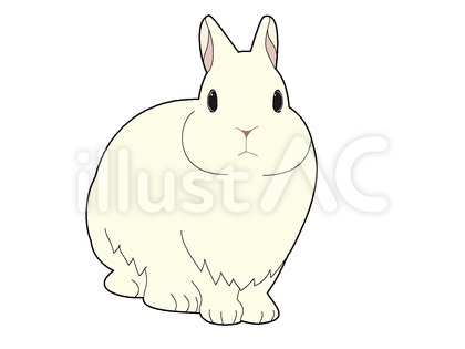 白うさぎ3