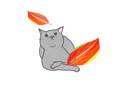 猫と落ち葉（グレー） ねこ,紅葉,見つめる,落ち葉,上向き,秋,リラックス,手書き,挿絵,グレーのイラスト素材